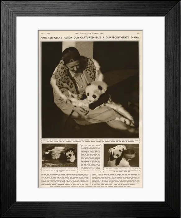 Framed Print : Ruth Harkness and her baby Giant Panda Diana, 1938 Framed Print : Ruth Harkness and her baby Giant Panda Diana, 1938