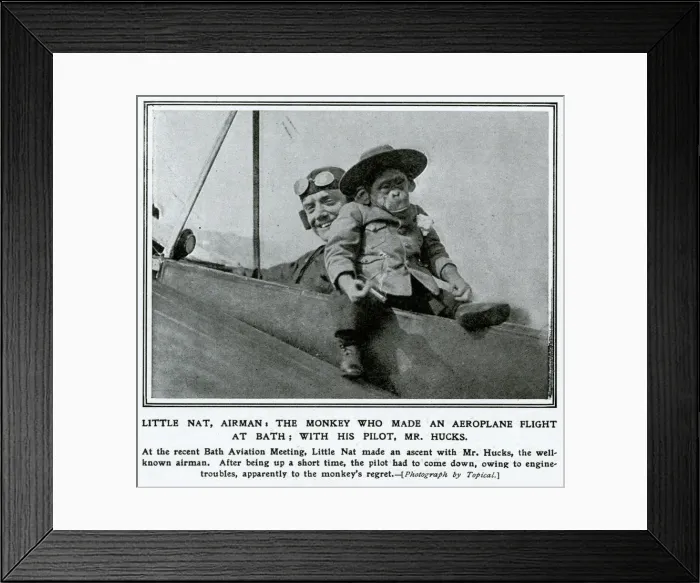 Framed Print : Monkey making flight at Bath Aviation Meeting 1912 Framed Print : Monkey making flight at Bath Aviation Meeting 1912