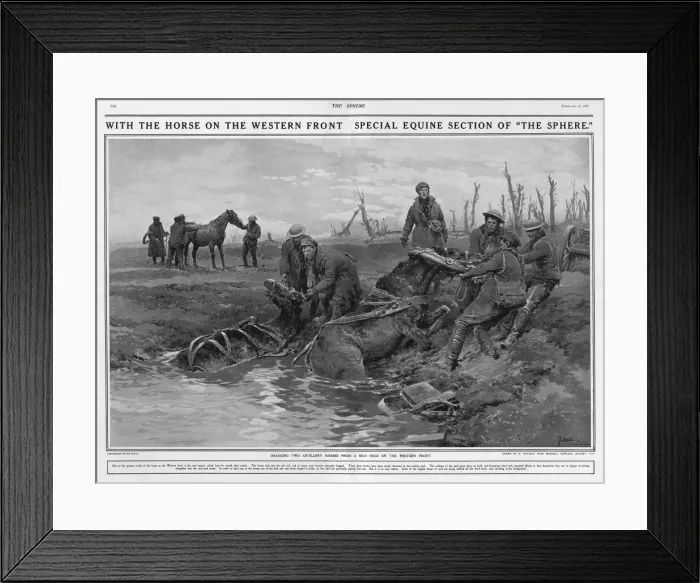 Framed Print : Dragging two artillery horses on Western Front by Matania Framed Print : Dragging two artillery horses on Western Front by Matania