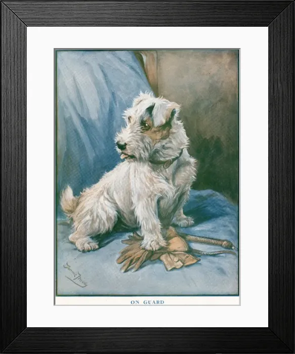 Framed Print : On Guard. An alert terrier stands by its owners gloves and lead, ready for a walk Framed Print : On Guard. An alert terrier stands by its owners gloves and lead, ready for a walk