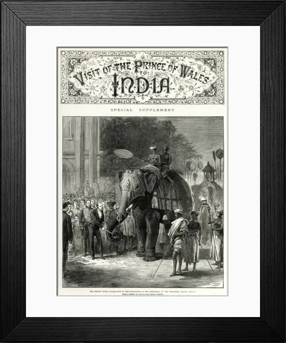 Framed Print : Visit of the Prince of Wales to India - elephants Framed Print : Visit of the Prince of Wales to India - elephants