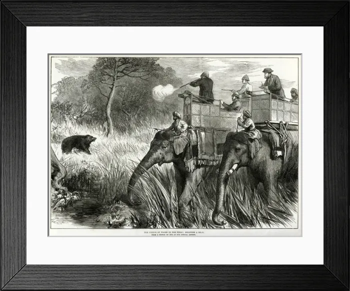 Framed Print : Prince of Wales in Nepal Terai, shooting bears 1876 Framed Print : Prince of Wales in Nepal Terai, shooting bears 1876