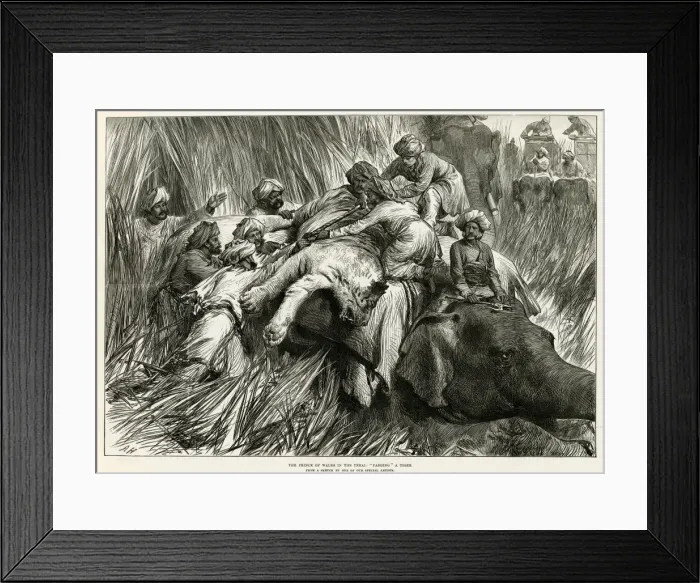 Framed Print : Prince of Wales tiger shooting 1876 Framed Print : Prince of Wales tiger shooting 1876