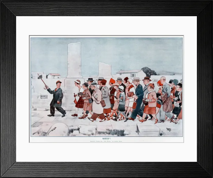 Framed Print : Sheep by Alfred Leete