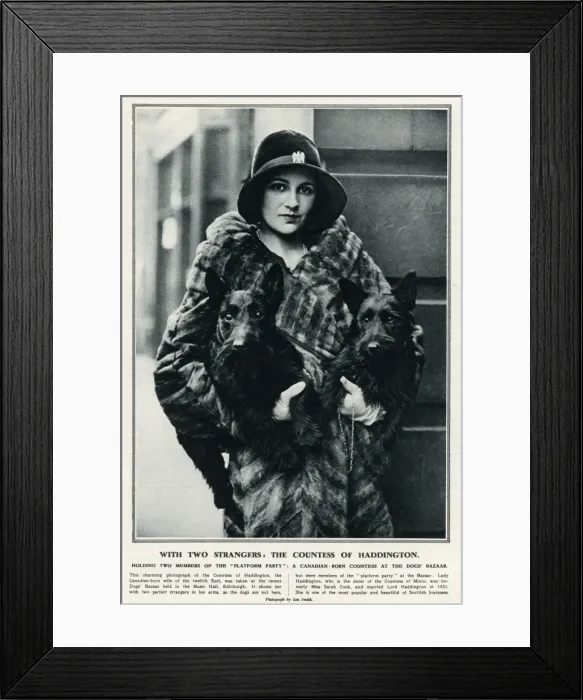 Framed Print : The Countess of Haddington with Scottish terriers Framed Print : The Countess of Haddington with Scottish terriers