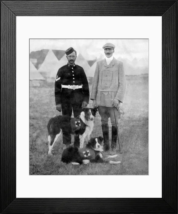 Framed Print : Major Richardson and his ambulance dogs