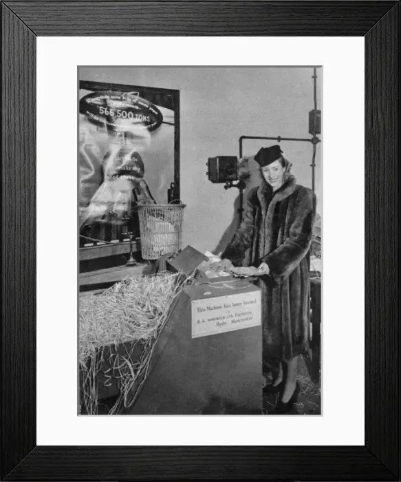 Framed Print : Vera Lynn shredding her fan mail for the war effort Framed Print : Vera Lynn shredding her fan mail for the war effort