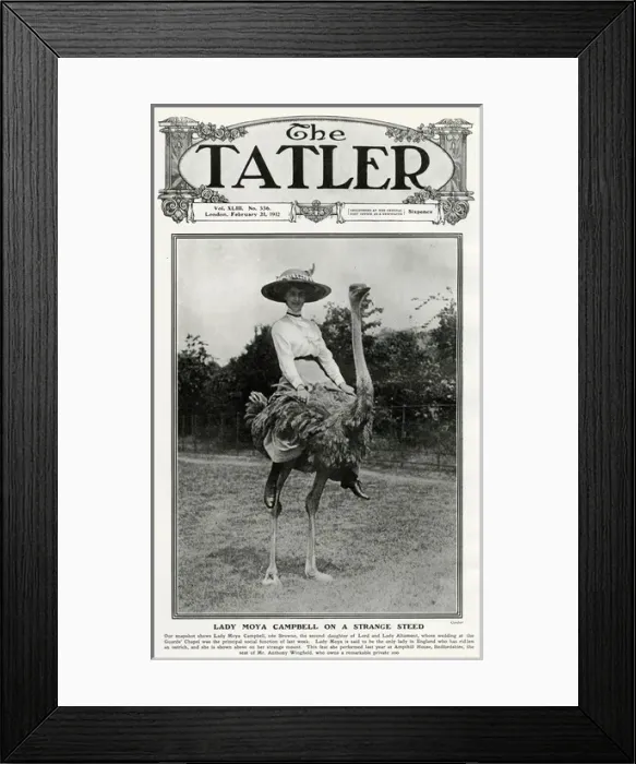 Framed Print : Tatler cover - Lady Moya Campbell on an ostrich Framed Print : Tatler cover - Lady Moya Campbell on an ostrich