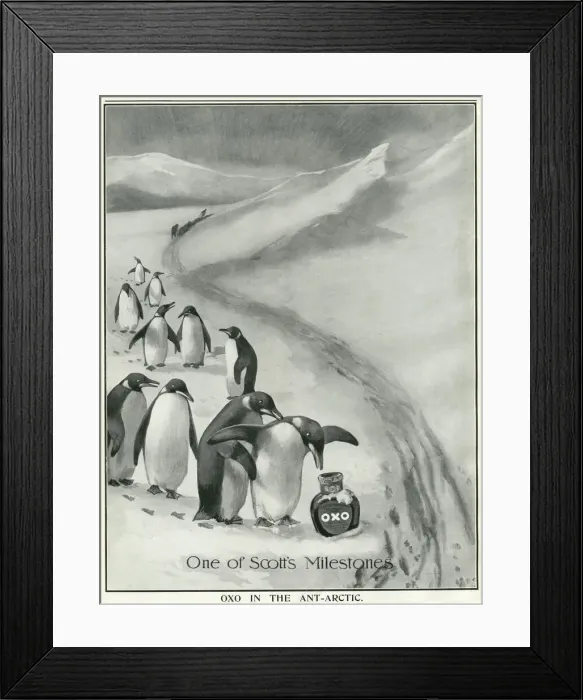 Framed Print : Oxo advertisement - Scott Antarctic expedition endorsement Framed Print : Oxo advertisement - Scott Antarctic expedition endorsement