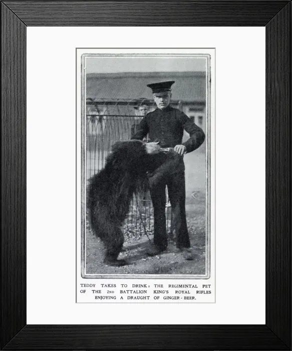 Framed Print : Teddy enjoying a draught of ginger-beer, the 2nd Battalion Kings Rifles pet Framed Print : Teddy enjoying a draught of ginger-beer, the 2nd Battalion Kings Rifles pet