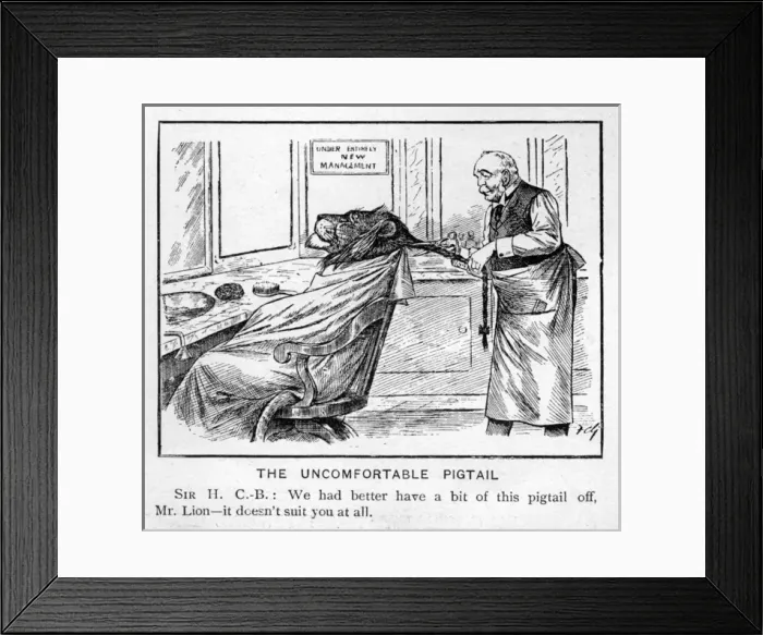 Framed Print : The uncomfortable pigtail Framed Print : The uncomfortable pigtail
