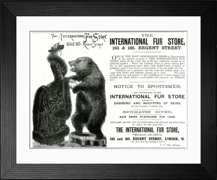 Framed Print : Advert for International Fur Store 1882 Framed Print : Advert for International Fur Store 1882