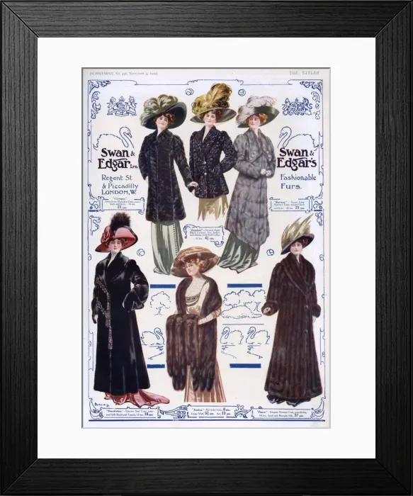 Framed Print : Advert for Swan & Edgar ladies fur coats 1909 Framed Print : Advert for Swan & Edgar ladies fur coats 1909