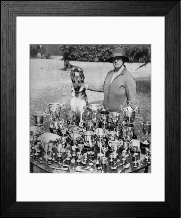 Framed Print : Mrs Thornton - breeder of champion Alsatians