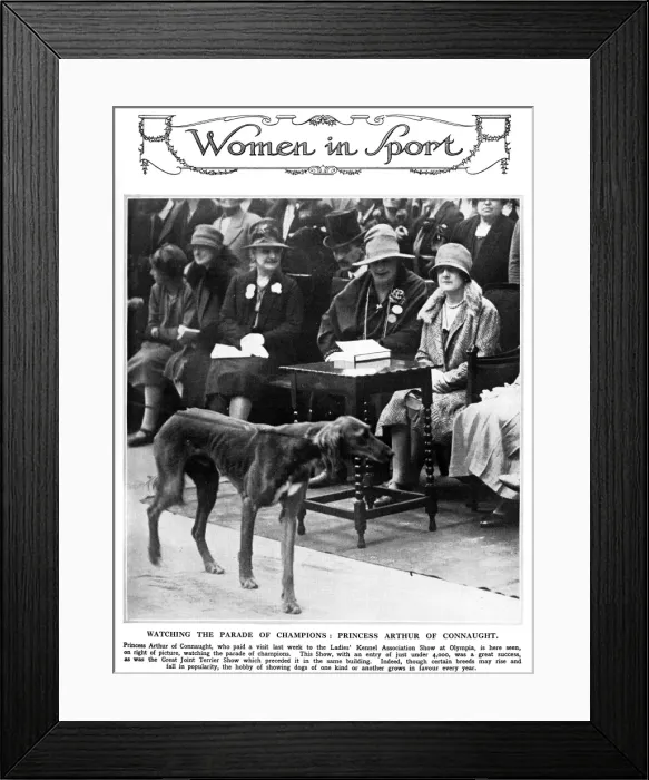 Framed Print : Princess Arthur of Connaught Ladies Kennel Association show Framed Print : Princess Arthur of Connaught Ladies Kennel Association show