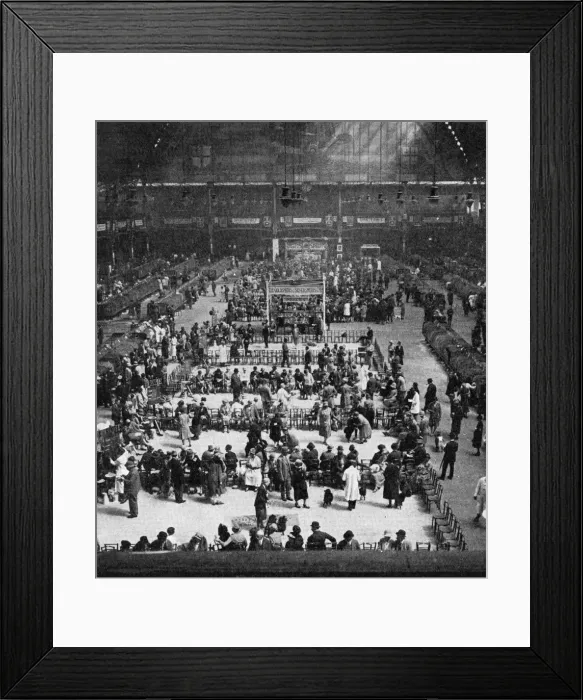 Framed Print : Ladies Kennel Association Show at Olympia, 1927 Framed Print : Ladies Kennel Association Show at Olympia, 1927