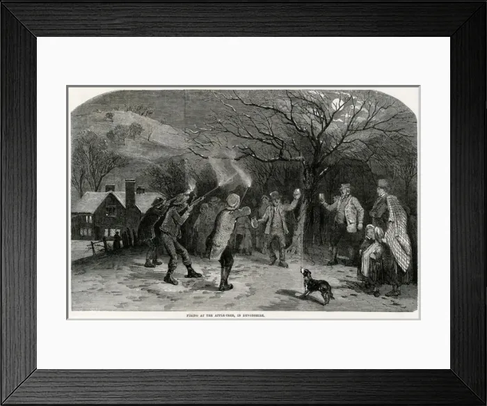 Framed Print : Firing at the apple-tree in Devonshire