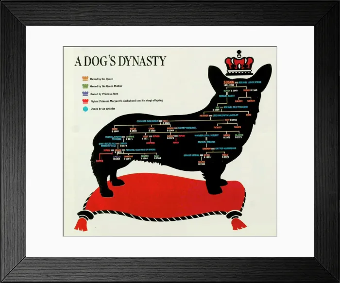Framed Print : Royal Corgi family tree Framed Print : Royal Corgi family tree