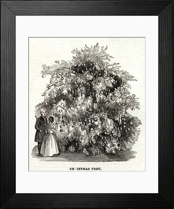 Framed Print : Christmas tree at the Temperance Hall 1845 Framed Print : Christmas tree at the Temperance Hall 1845