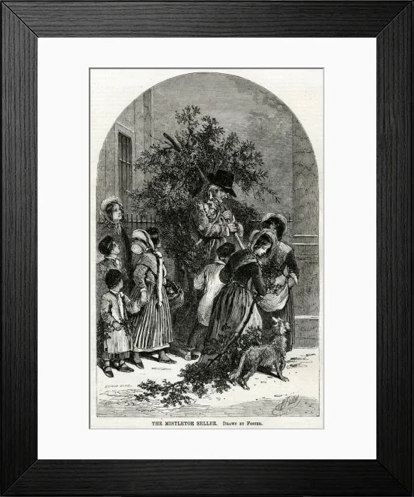 Framed Print : Selling mistletoe in streets 1854 Framed Print : Selling mistletoe in streets 1854