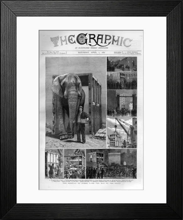 Framed Print : Jumbo the elephant: on the way to the docks Framed Print : Jumbo the elephant: on the way to the docks