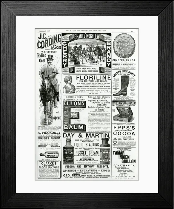 Framed Print : Page of Victorian adverts 1895 Framed Print : Page of Victorian adverts 1895