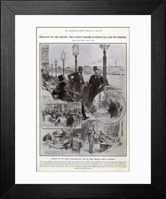 Framed Print : Aspects of the inner parliamentary life of Irish members Framed Print : Aspects of the inner parliamentary life of Irish members