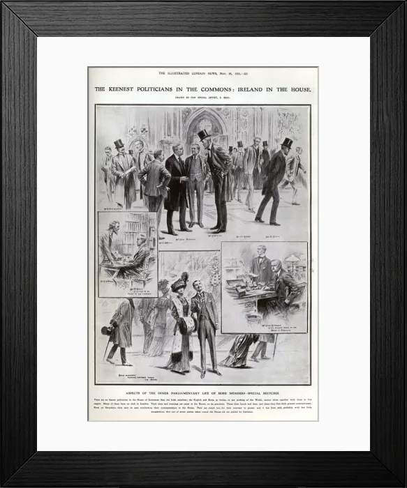 Framed Print : Aspects of the inner parliamentary life of Irish members Framed Print : Aspects of the inner parliamentary life of Irish members