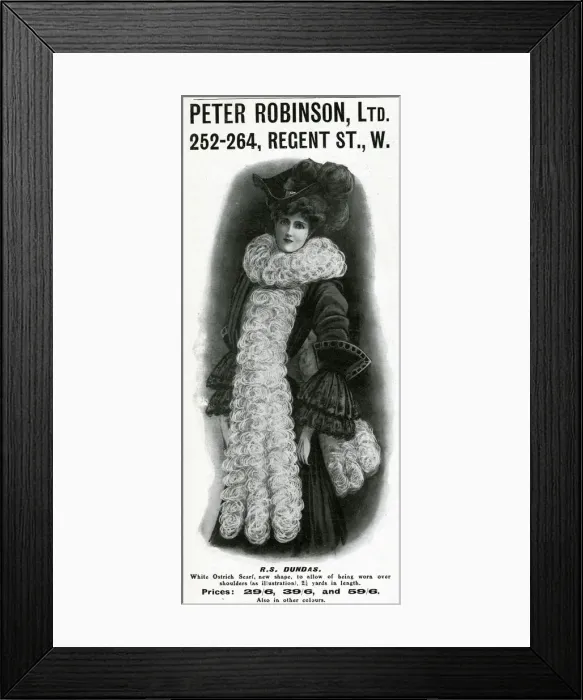 Framed Print : Advert for Peter Robinsons womens stole 1905 Framed Print : Advert for Peter Robinsons womens stole 1905