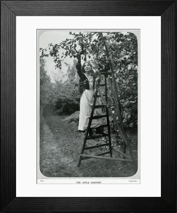Framed Print : Coming of Autumn 1906 Framed Print : Coming of Autumn 1906