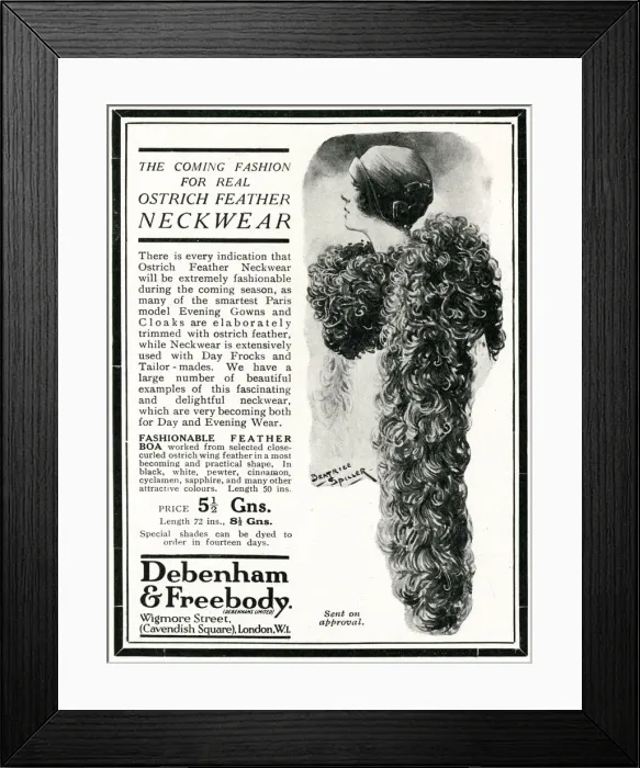 Framed Print : Advert for Peter Robinson ostrich feather neckwear 1924