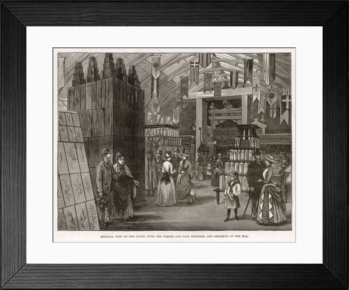 Framed Print : New Zealand court at the Colonial & Indian Exhibition Framed Print : New Zealand court at the Colonial & Indian Exhibition