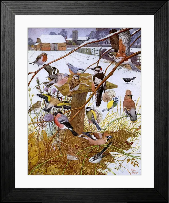 Framed Print : Invited guests at the bird-table by Neave Parker Framed Print : Invited guests at the bird-table by Neave Parker