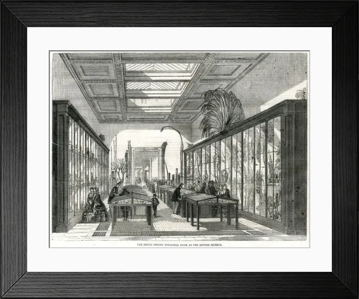 Framed Print : Botanical room, British Museum 1858 Framed Print : Botanical room, British Museum 1858