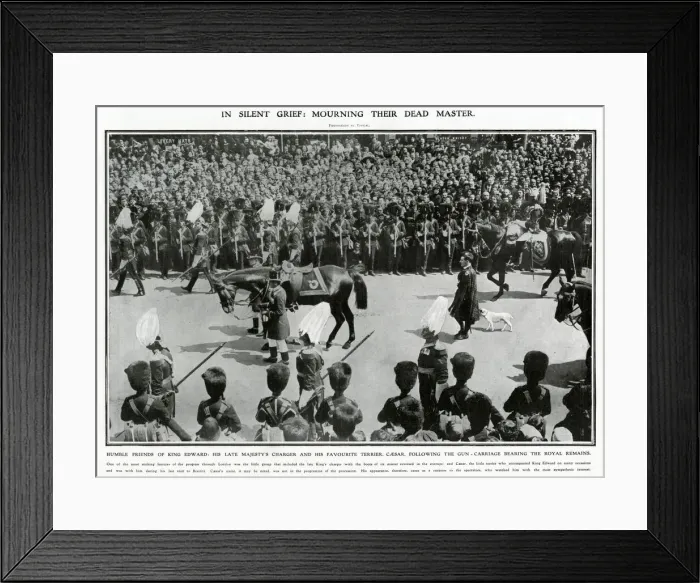 Framed Print : Funeral procession of King Edward VII 1910 Framed Print : Funeral procession of King Edward VII 1910