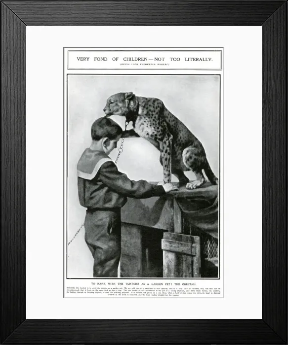 Framed Print : A pet cheetah in Paris, 1909 Framed Print : A pet cheetah in Paris, 1909