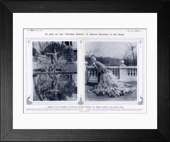Framed Print : A human peacock in his pride