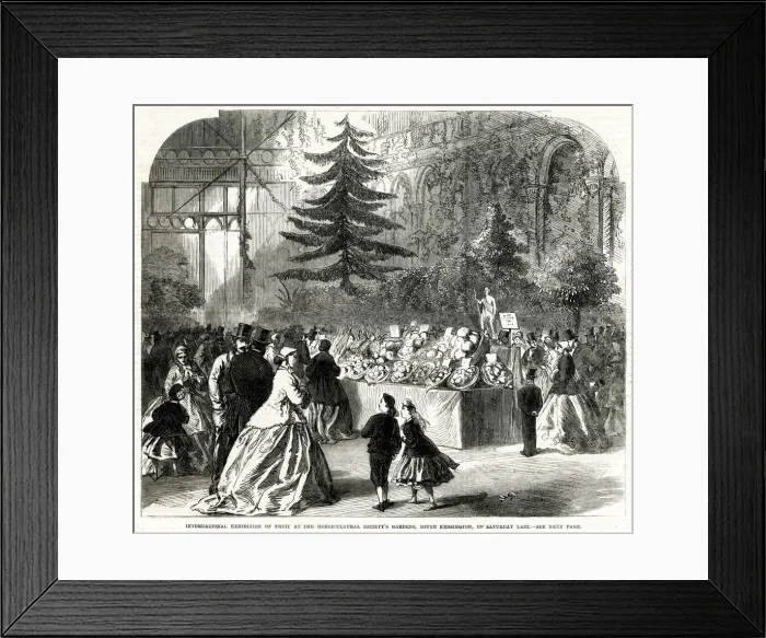 Framed Print : International Exhibition, Horticultural Society Gardens 1865