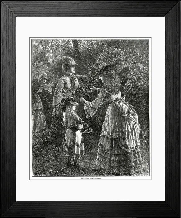 Framed Print : Gathering blackberries 1872 Framed Print : Gathering blackberries 1872