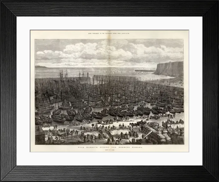 Framed Print : Wick harbour during the herring season, 1875 Framed Print : Wick harbour during the herring season, 1875
