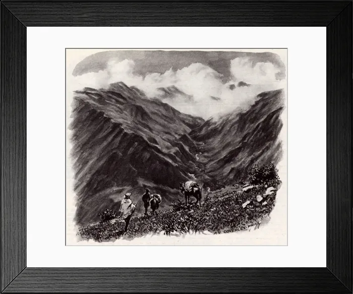 Framed Print : Amazonian Adventure - article in the Sphere Framed Print : Amazonian Adventure - article in the Sphere