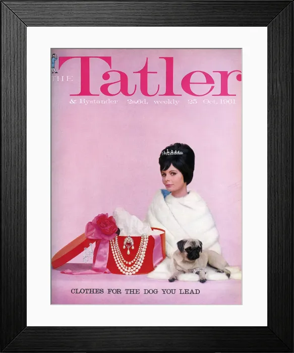 Framed Print : Tatler cover Clothes for the Dog You Lead 1961