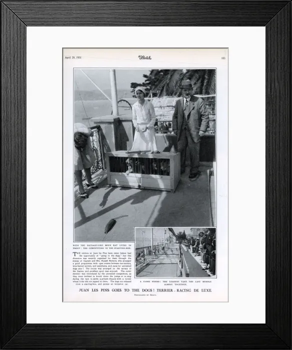 Framed Print : Terrier racing in Juan les Pins Framed Print : Terrier racing in Juan les Pins