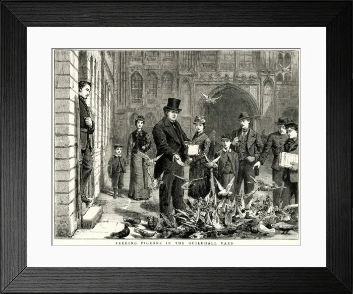 Framed Print : Feeding pigeons in the Guildhall Yard, City of London 1877