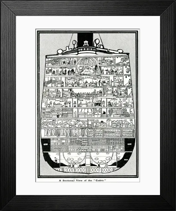 Framed Print : Steamship Cedric in cross-section to show contents Framed Print : Steamship Cedric in cross-section to show contents