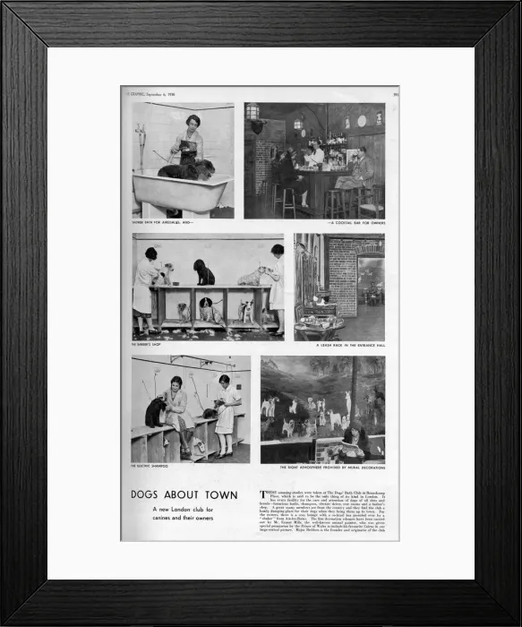 Framed Print : The Dogs Bath Club in Beauchamp Place Framed Print : The Dogs Bath Club in Beauchamp Place