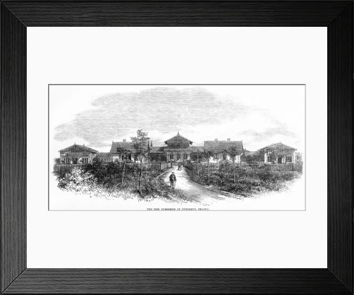 Framed Print : The Fish Nurseries at Huningue, France Framed Print : The Fish Nurseries at Huningue, France