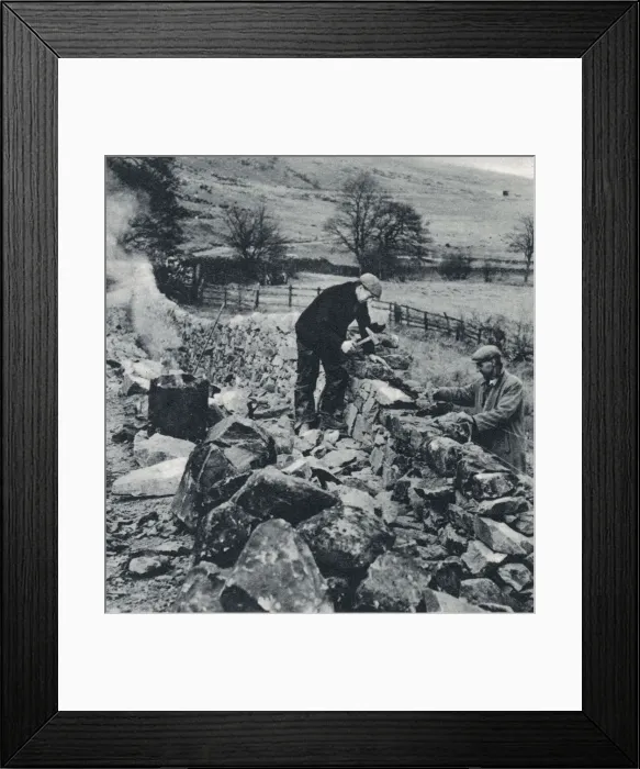 Framed Print : Drystone Walls of the North Framed Print : Drystone Walls of the North