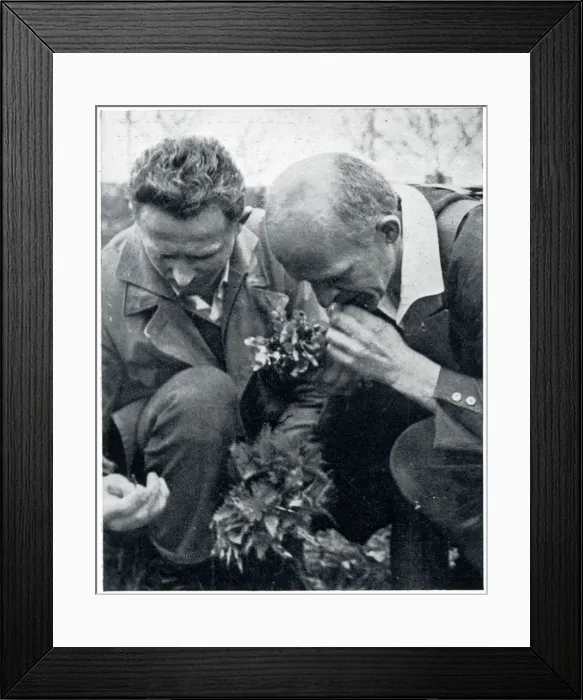 Framed Print : Wandervogel Movement - vegetarian hikers forage for food Framed Print : Wandervogel Movement - vegetarian hikers forage for food