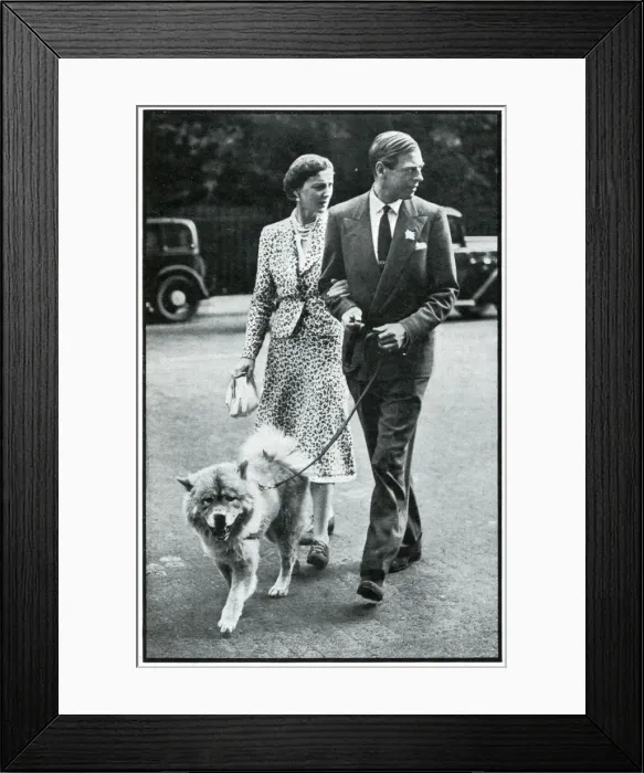 Framed Print : Duke and Duchess of Kent walking their chow dog, Sept 1939